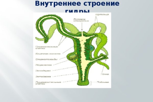 Где найти ссылку кракен
