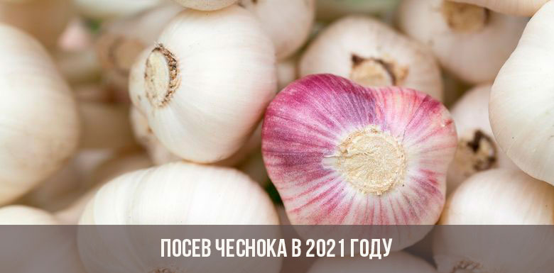 Кракен даркнет вход