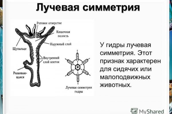 Как зайти на кракен тор